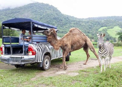 Portobello Land: Rio de Janeiro